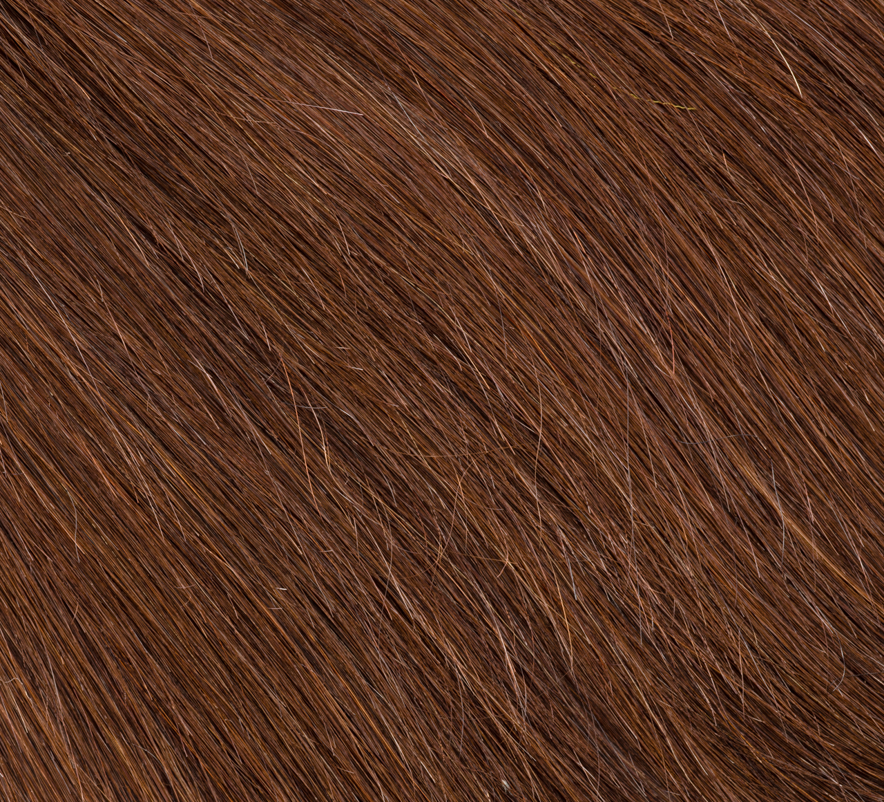 Brazilian Straight 4x4 Closure